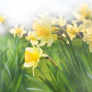 Thank You For Visiting!